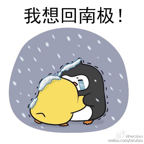 关于山西seo优化技巧